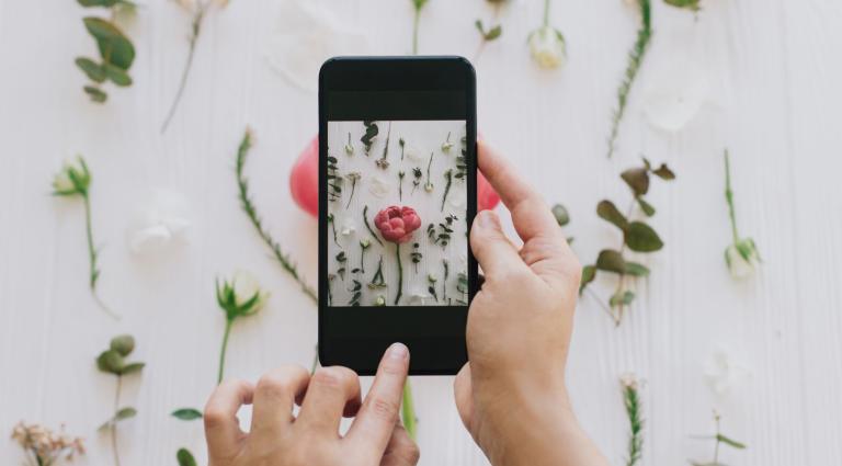 person taking a picture on their phone