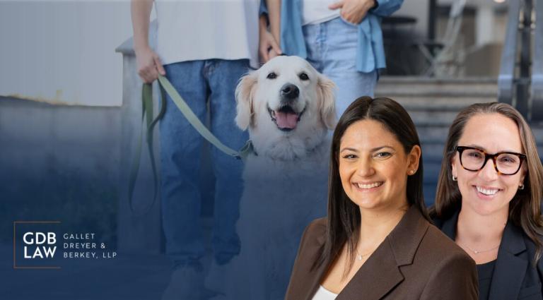 Headshots of Sydney Goldstein (left) and Atty Bruggemann (right) pictured in front of an image of a golden retriever on a leash with people standing behind it. The Gallet Dreyer & Berkey LLP logo appears on the left.